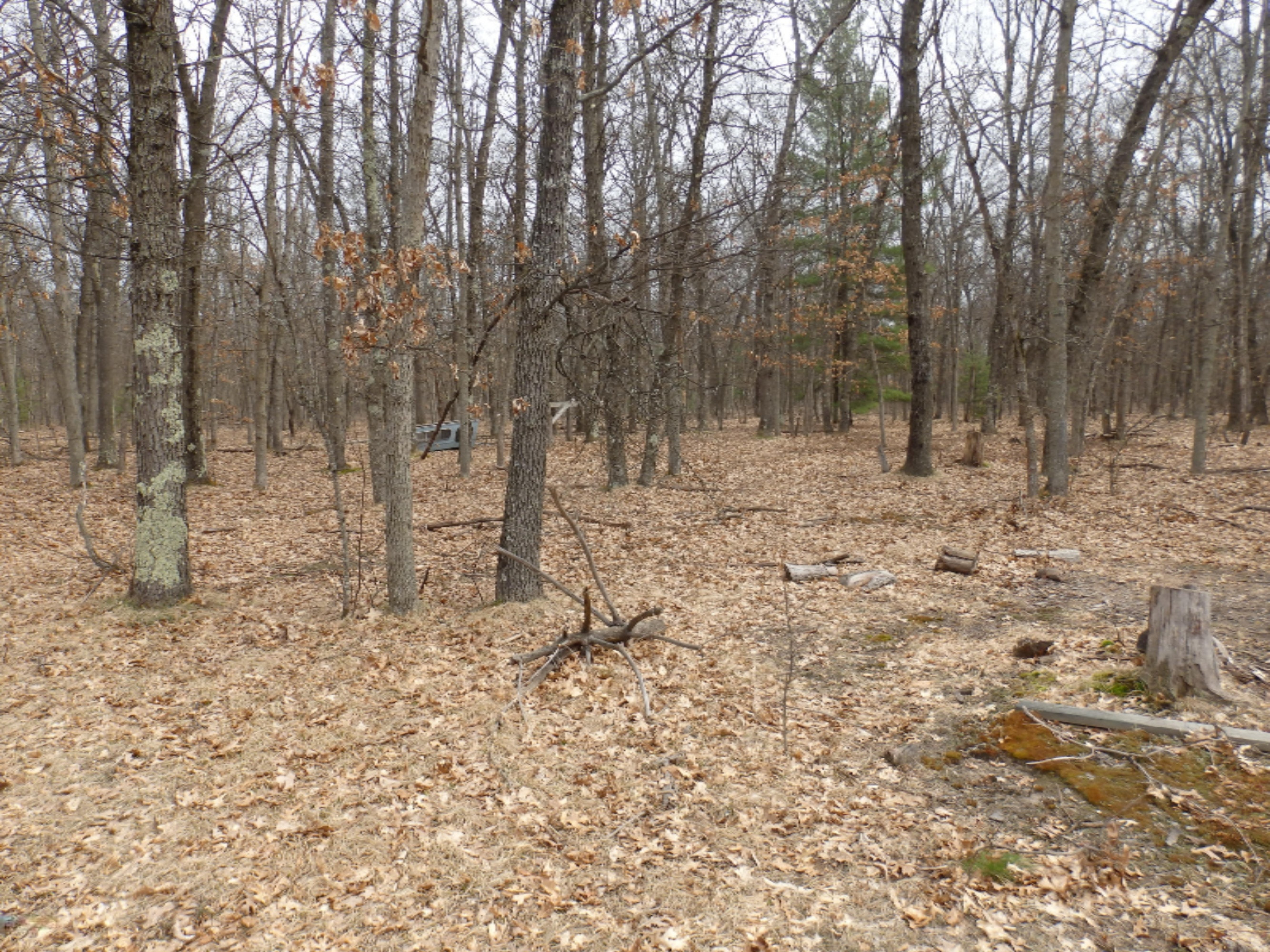 175 Snyder Road Wellston, MI 49689 - Photo 34 of 38 P4130147