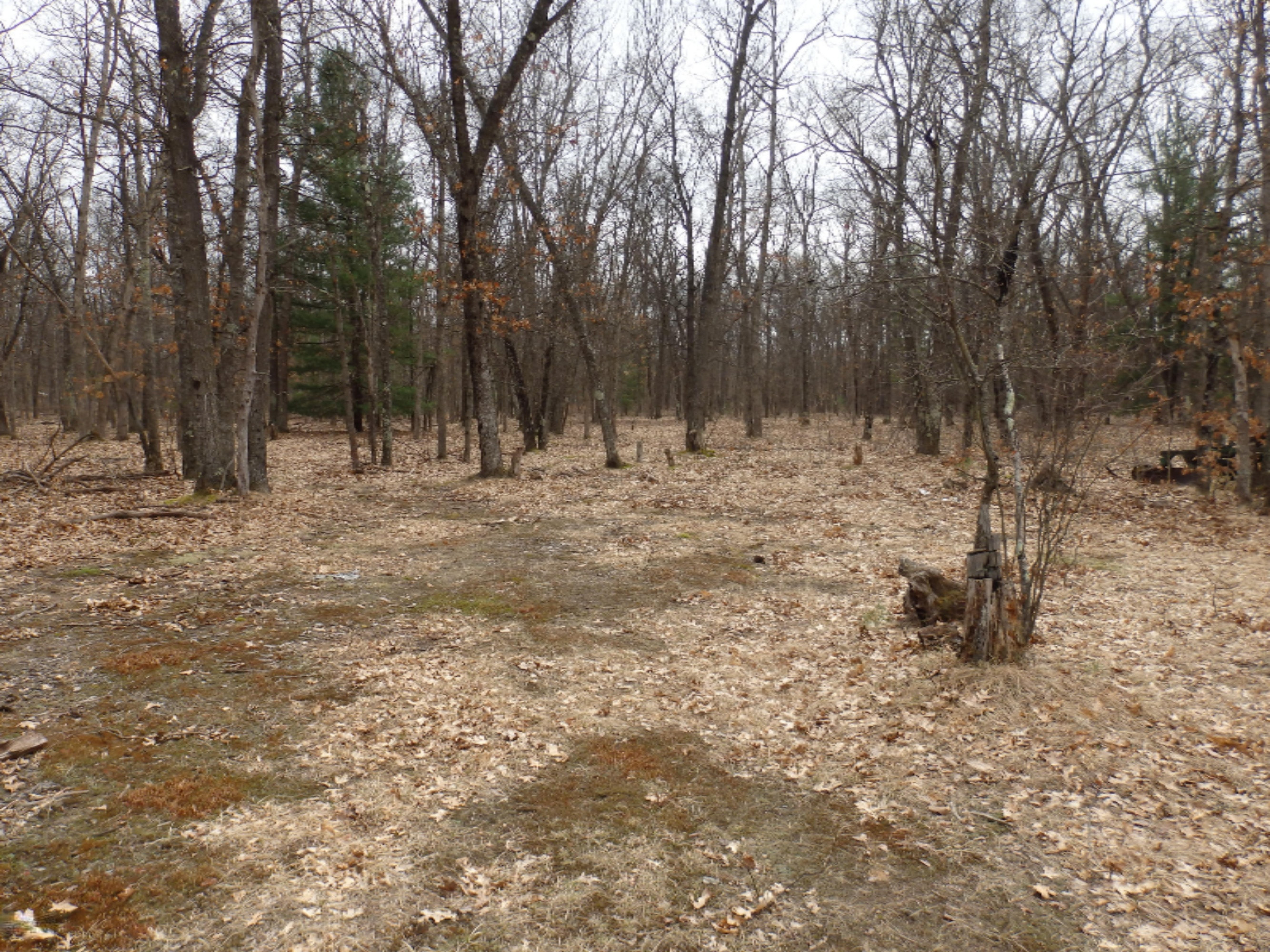 175 Snyder Road Wellston, MI 49689 - Photo 35 of 38 P4130148