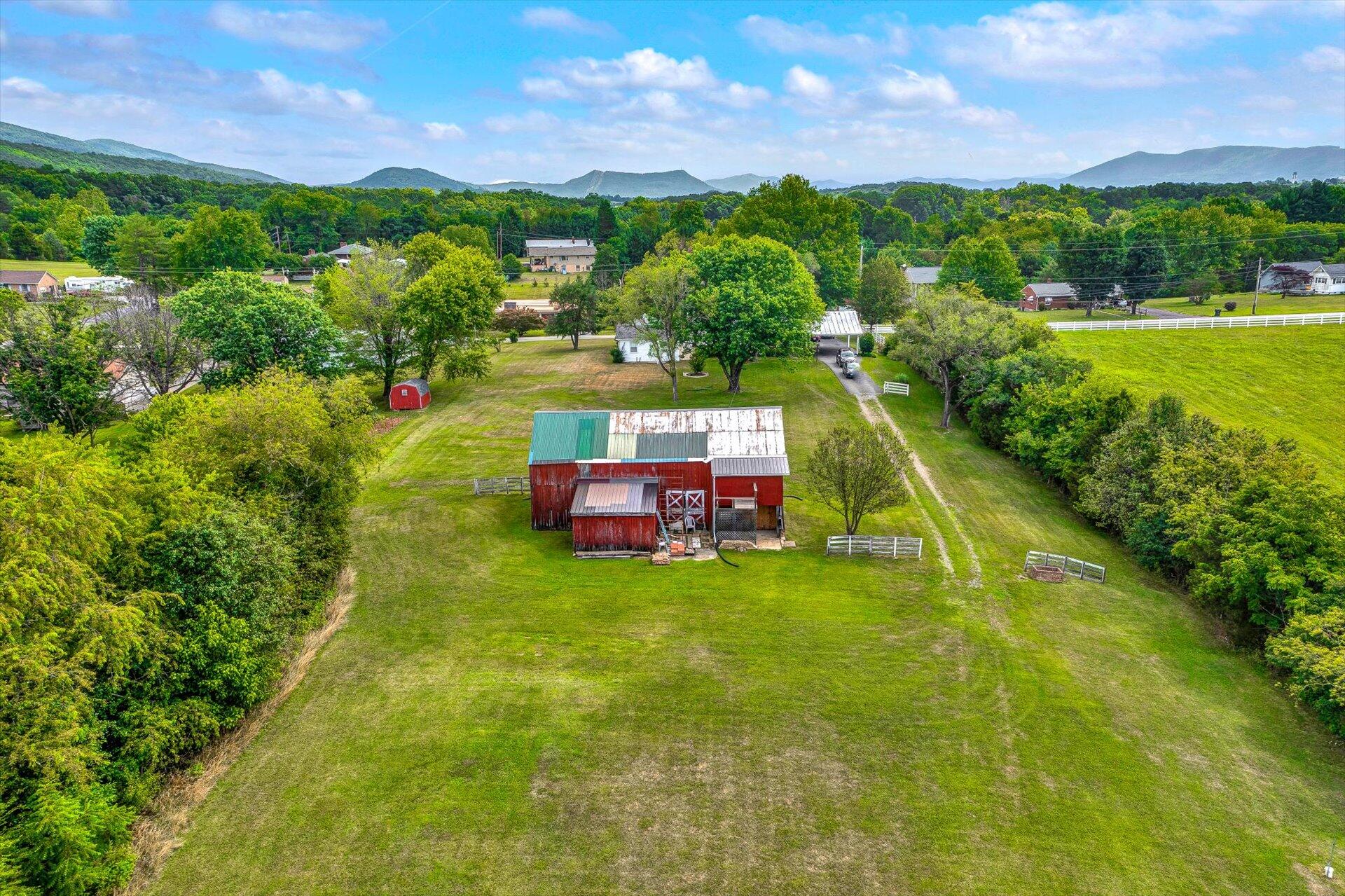 6044 Cove Road Roanoke, VA 24019 - Photo 41 of 67 a view of a big yard with potted plants and large tree