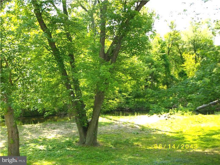 1861 Mill Road Boothwyn, PA 19061 - Photo 6 of 6 Back Yard