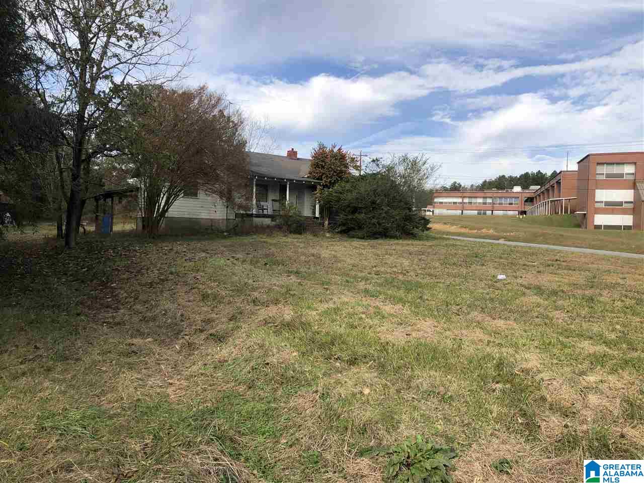 4073 Pleasant Valley Road Jacksonville, AL 36265 - Photo 1 of 3 Gallery Image 1