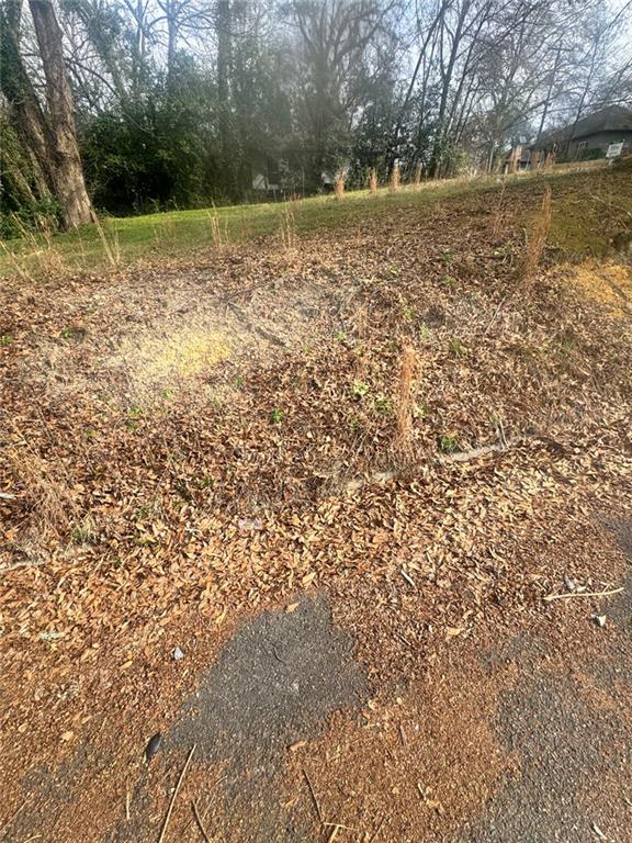 537 Rutherford Avenue Macon, GA 31206 - Photo 10 of 10 a view of a field with trees