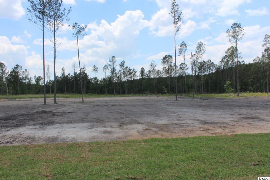 2811 Allen Dew Road Conway, SC 29527 - Photo 20 of 29