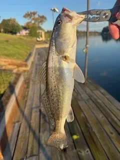 a view of a lake with a big yard