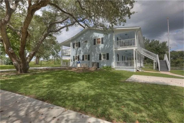 a view of a big yard with plants and large trees