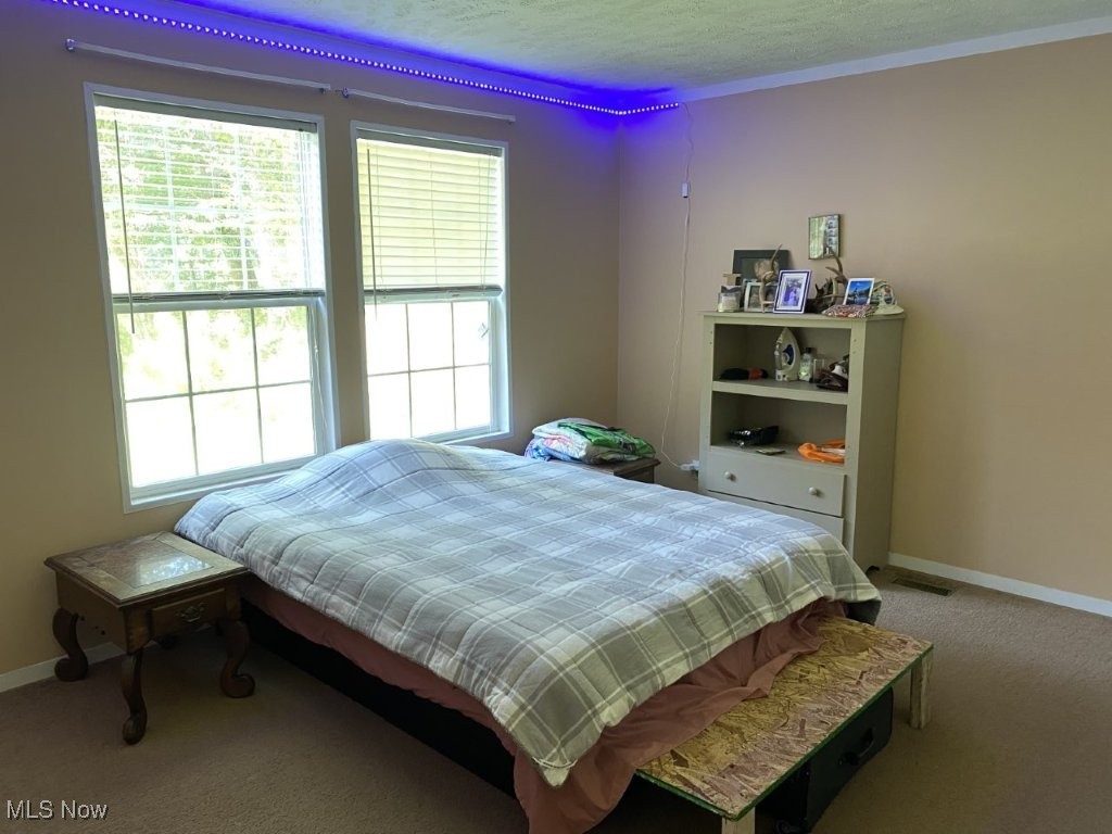 7617 Clay Road Looneyville, WV 25259 - Photo 13 of 31 Gallery Image 13