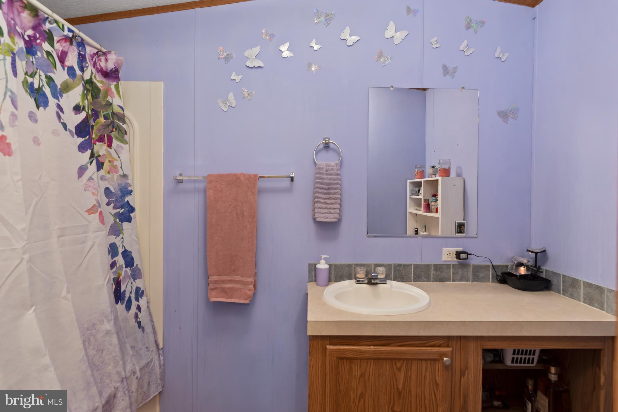 2581 Old Harrisburg Road, Unit 39 Gettysburg, PA 17325 - Photo 21 of 24 Main bathroom