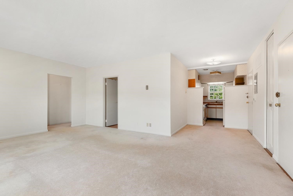 173 Lake Shore Road, Unit 3 Boston, MA 02135 - Photo 13 of 41 Gallery Image 13