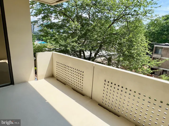 a black and white photo of a garden