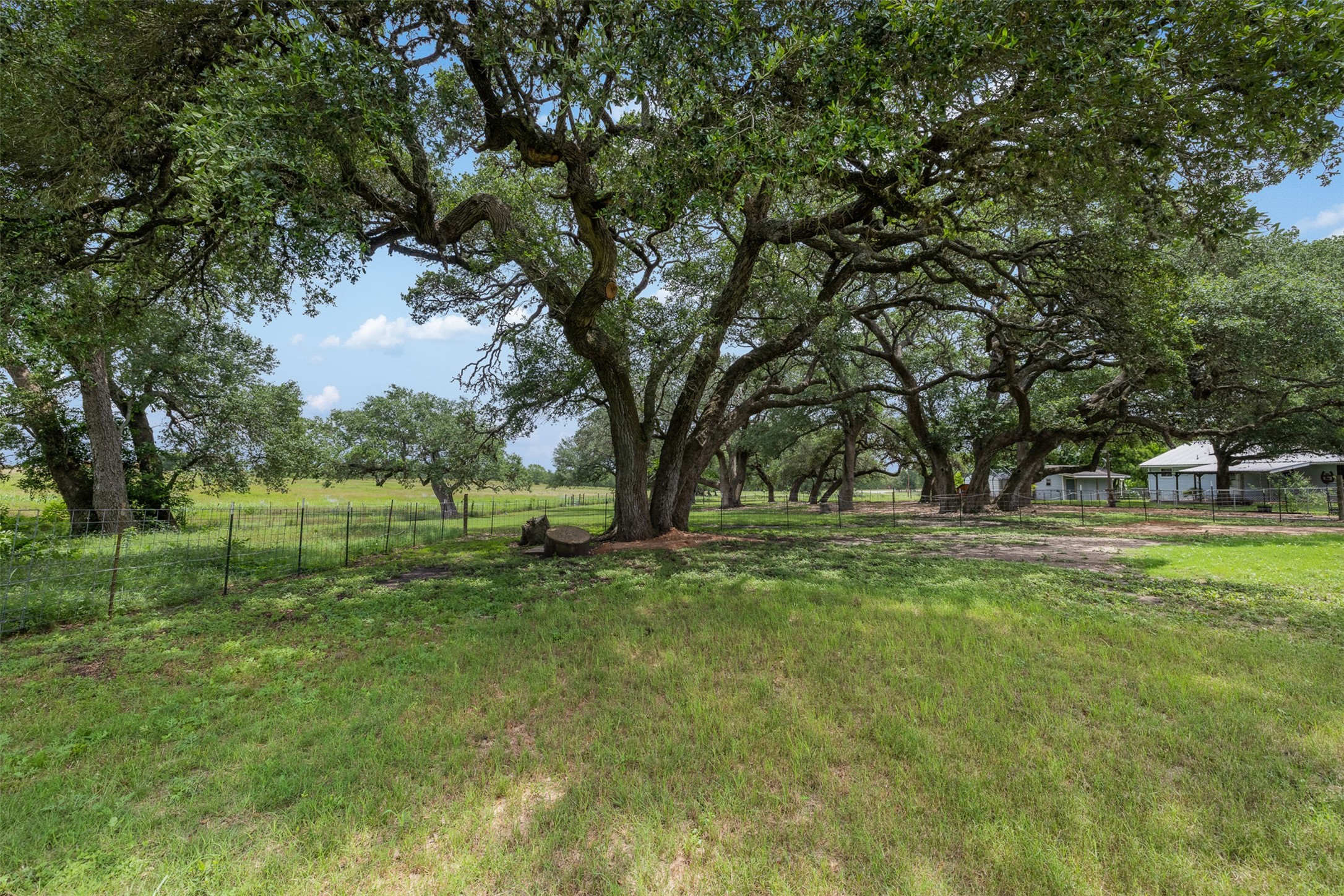 5030 Frenzel Road Round Top, TX 78954 - Photo 12 of 47