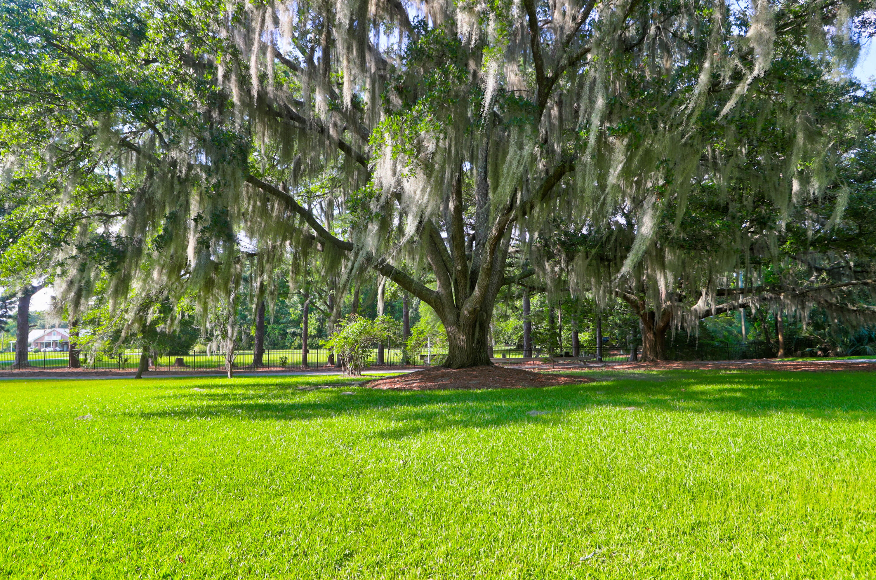 4627 Shark Hole Road Meggett, SC 29449 - Photo 89 of 153 4627 Shark Hole -Tidalcreekphoto- (6)