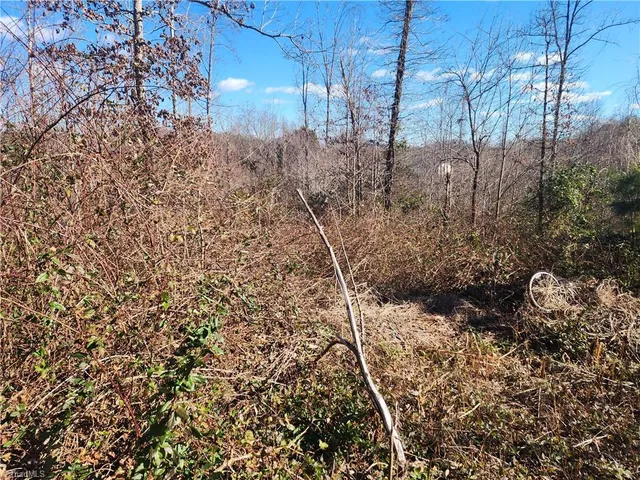 $10,000 | 21 Hickory Drive, Taylorsville, NC 28681