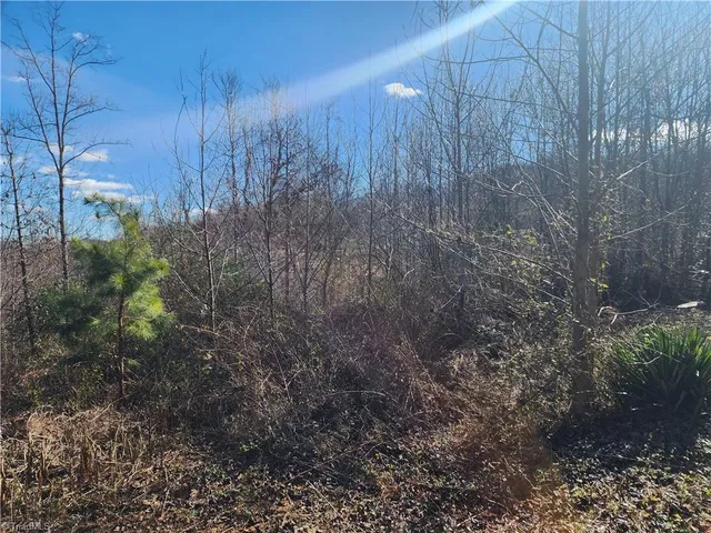 $10,000 | 21 Hickory Drive, Taylorsville, NC 28681