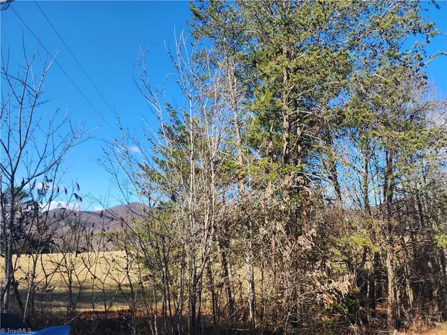 $10,000 | 21 Hickory Drive, Taylorsville, NC 28681