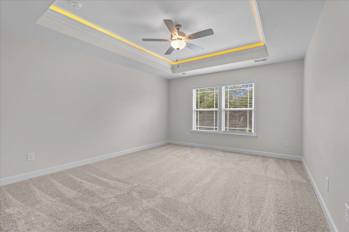 517 Springs Fall Creek Inman, SC 29349 - Photo 19 of 31