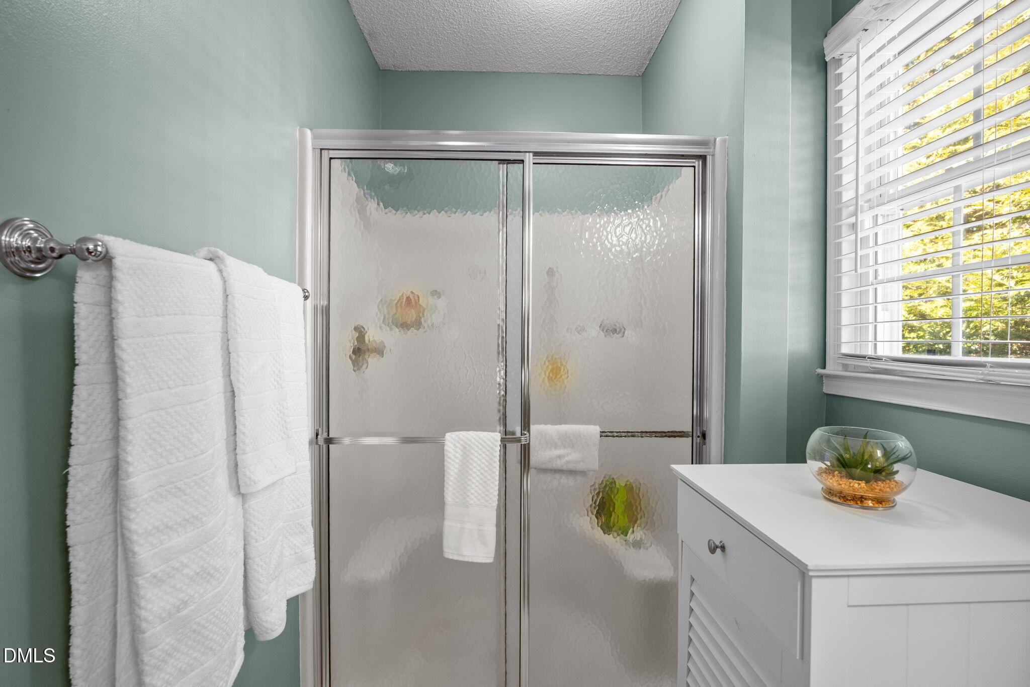 102 Briarcliff Street Apex, NC 27502 - Photo 15 of 28 50-web-or-mls-IMG_5451