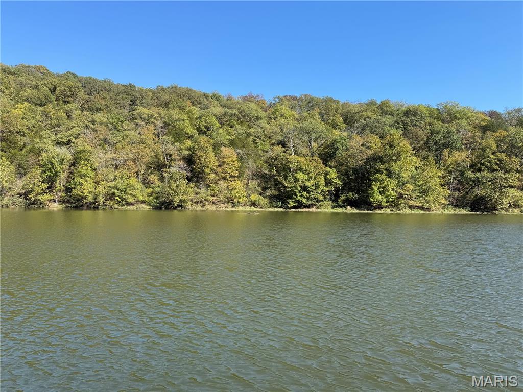 32 Callaway Ridge Drive Defiance, MO 63341 - Photo 18 of 19