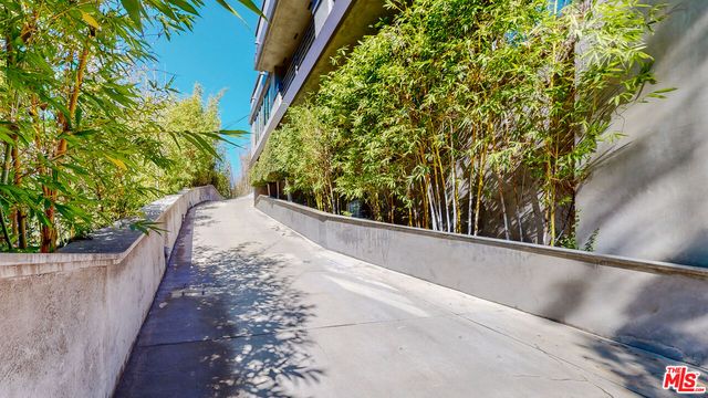 a view of a yard with potted plants