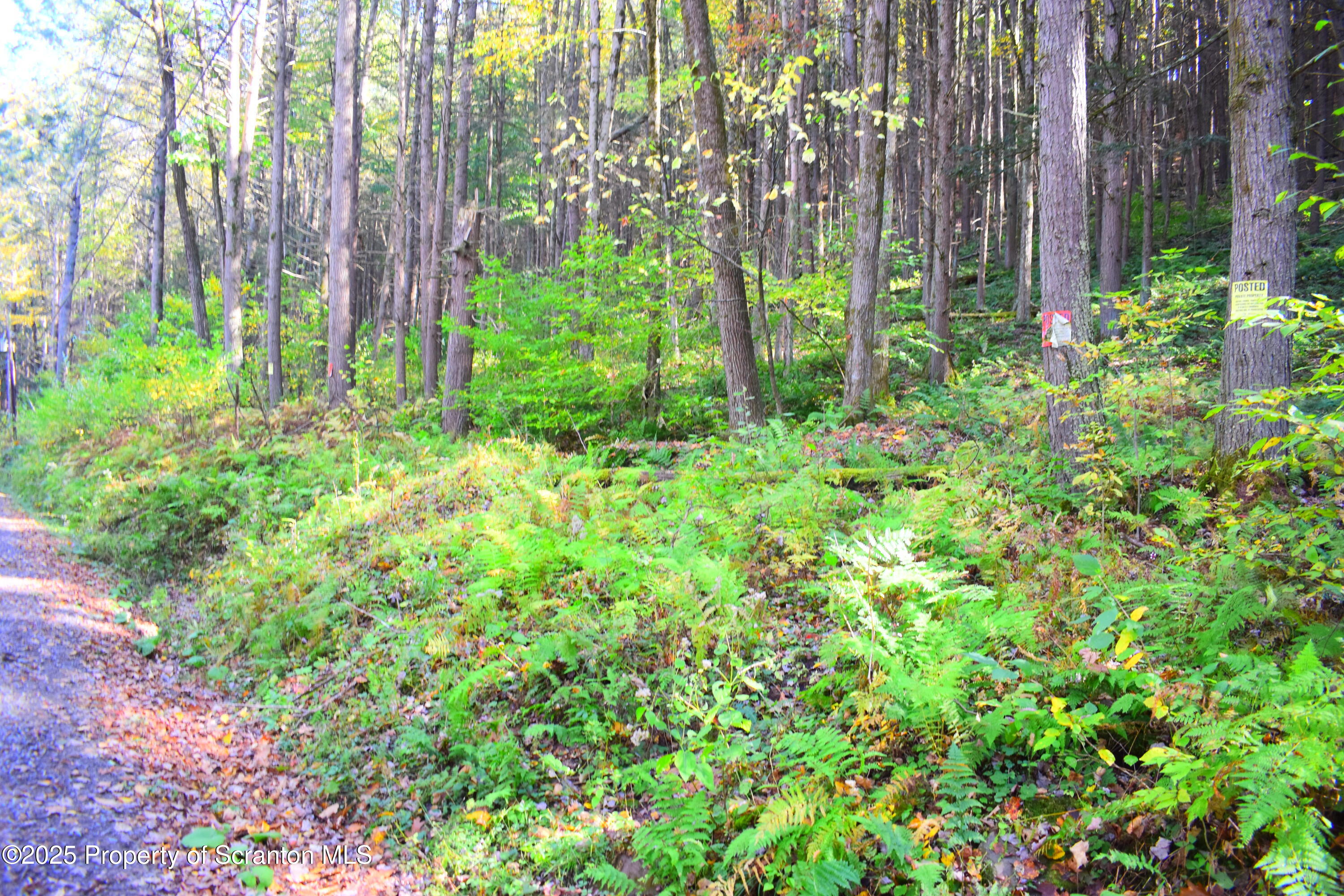 Graham Hollow Road Hallstead, PA 18822 - Photo 8 of 12 Road side view