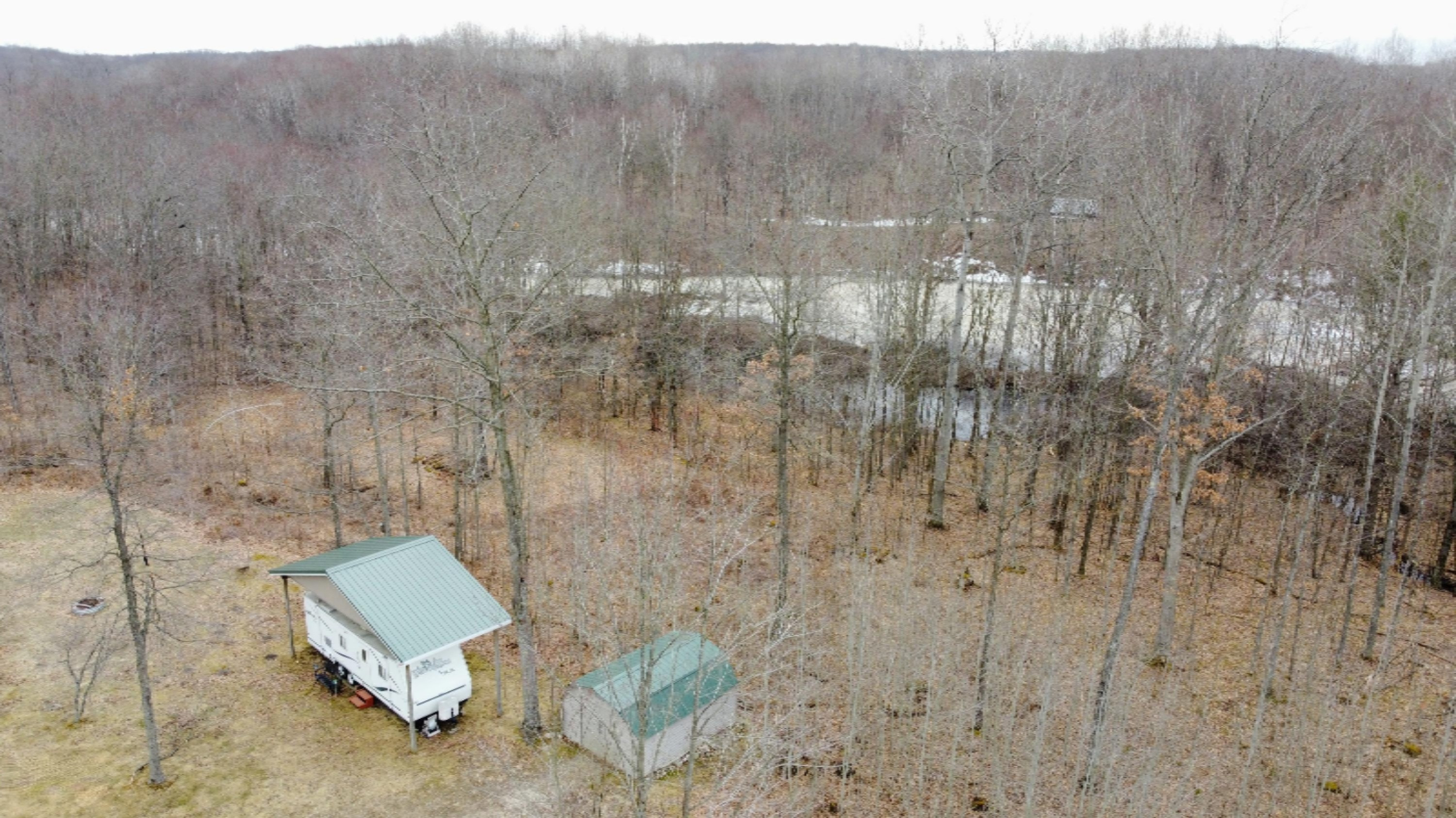 9570 150th Avenue Reed City, MI 49677 - Photo 18 of 30 Shed and pond