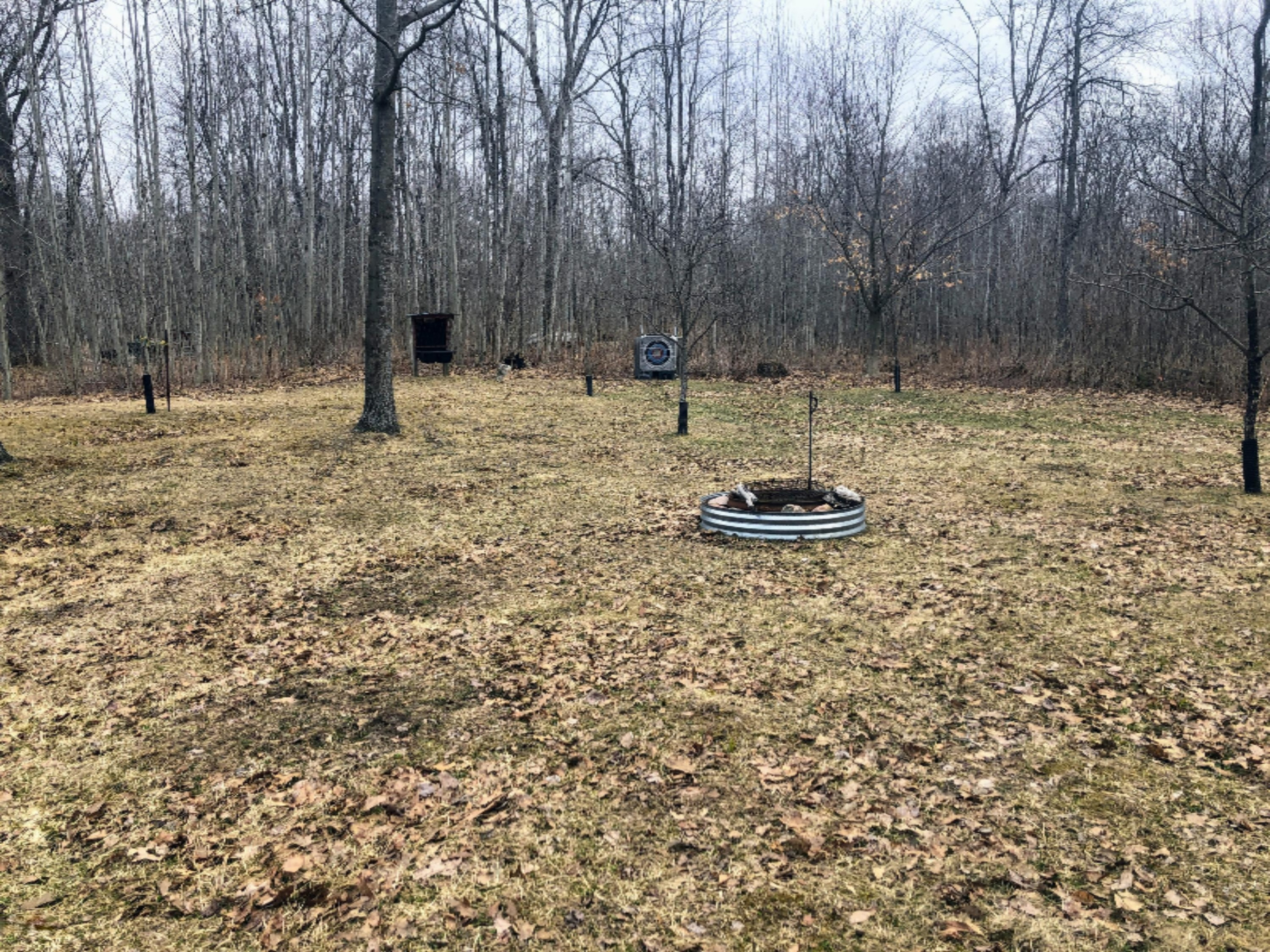 9570 150th Avenue Reed City, MI 49677 - Photo 20 of 30 back yard