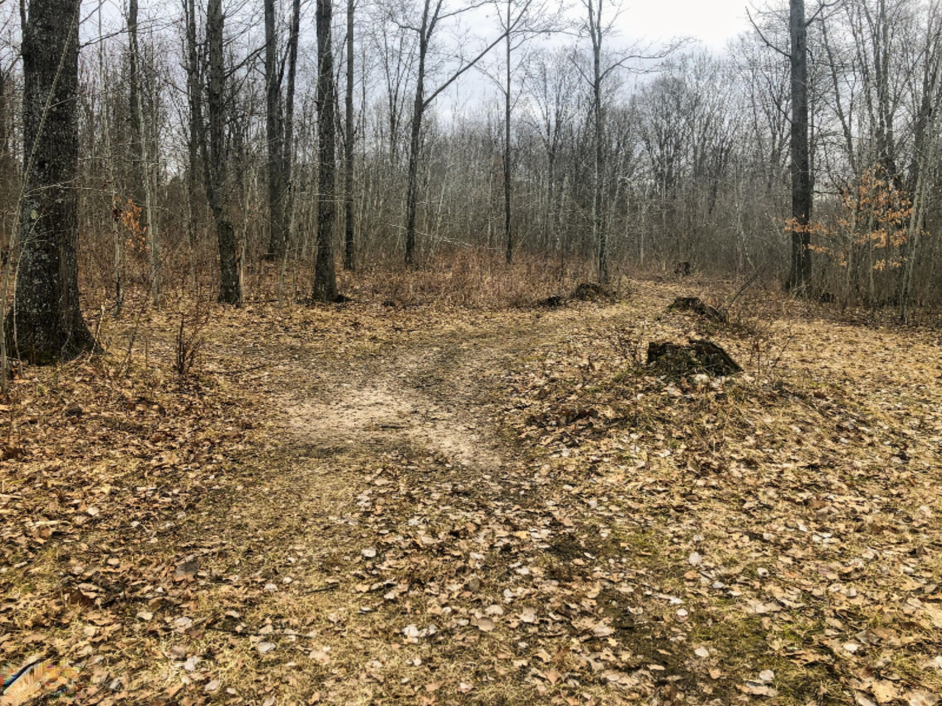 9570 150th Avenue Reed City, MI 49677 - Photo 24 of 30 trails
