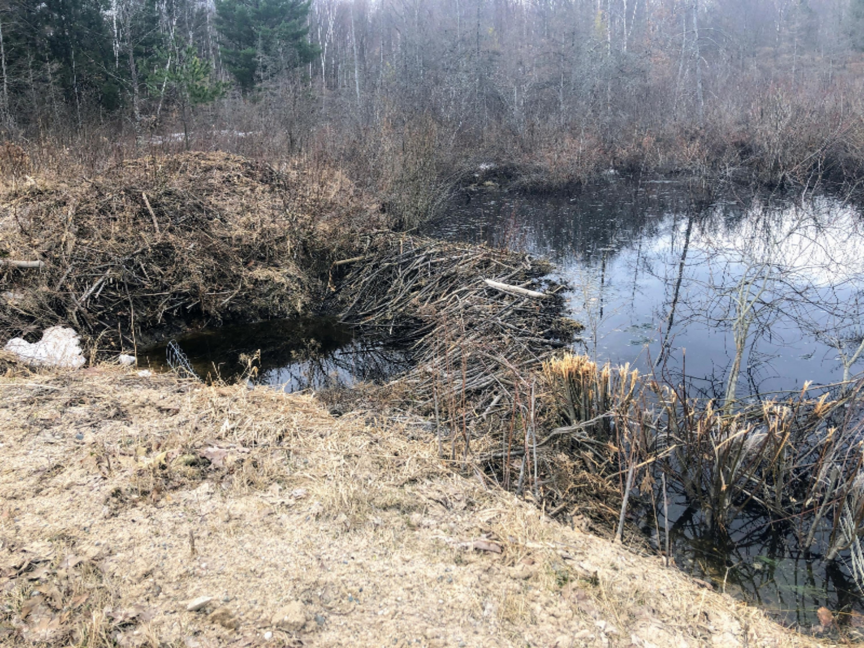 9570 150th Avenue Reed City, MI 49677 - Photo 25 of 30 across the raod