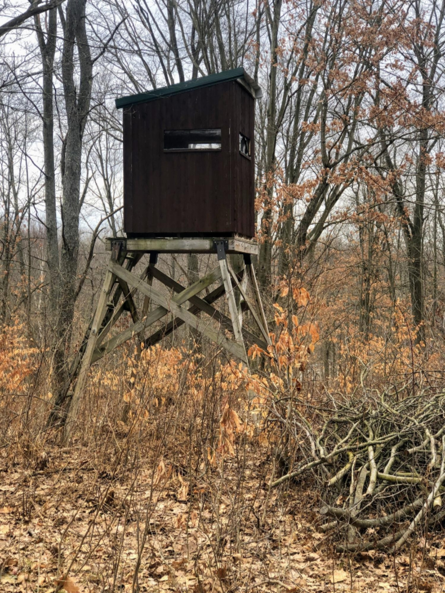 9570 150th Avenue Reed City, MI 49677 - Photo 27 of 30 deer blind