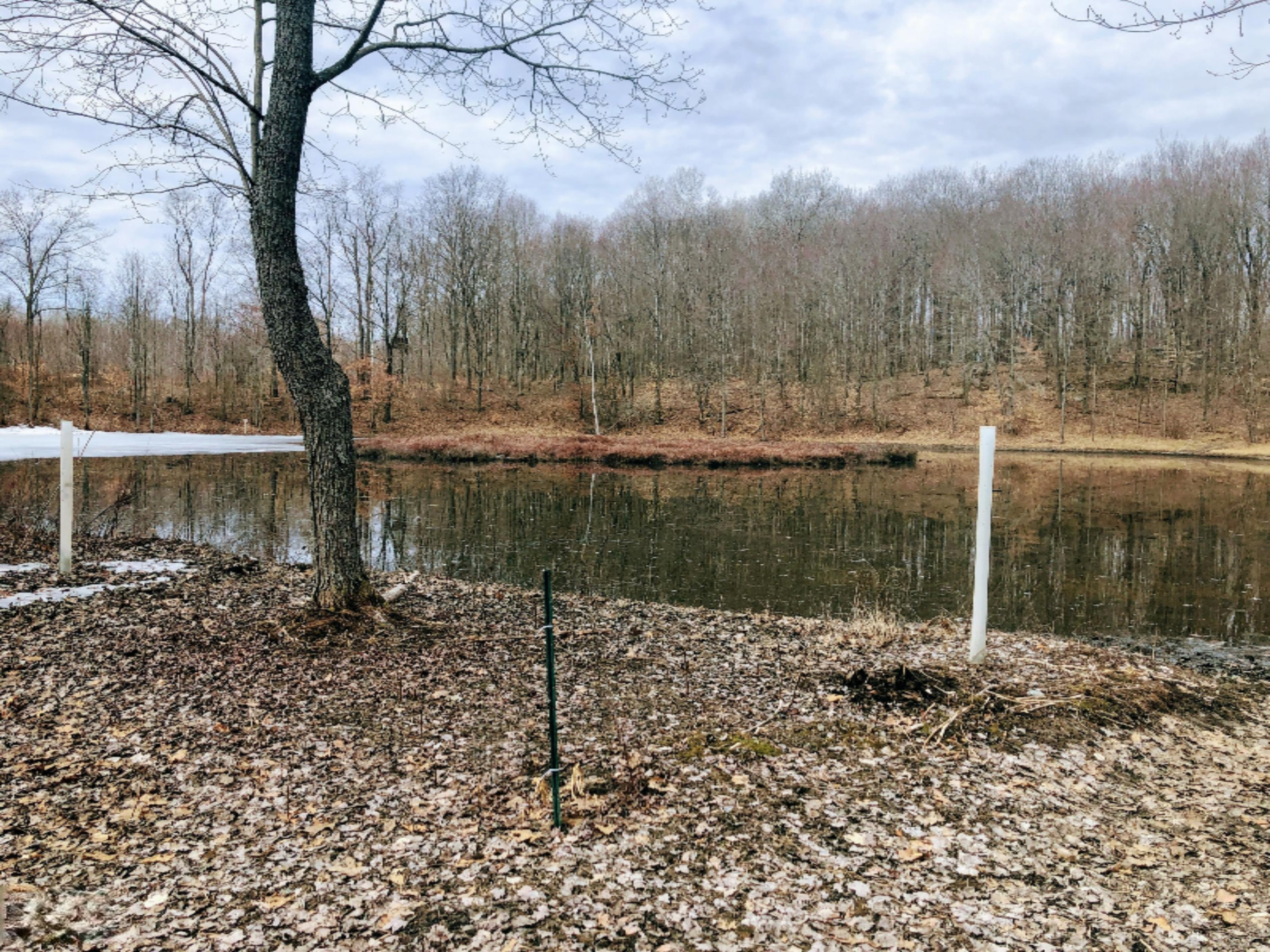 9570 150th Avenue Reed City, MI 49677 - Photo 28 of 30 2nd pond