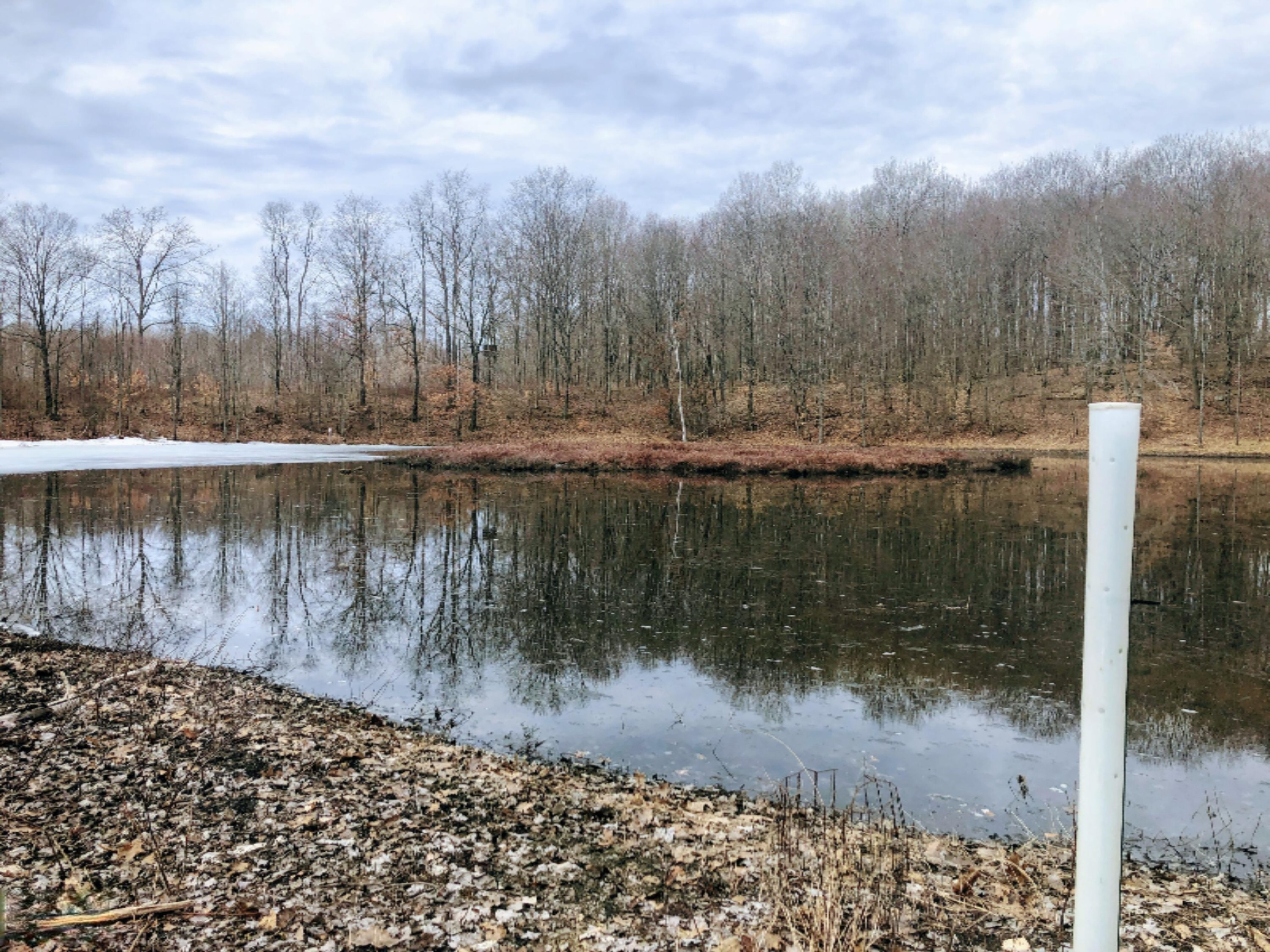 9570 150th Avenue Reed City, MI 49677 - Photo 29 of 30 2nd pond