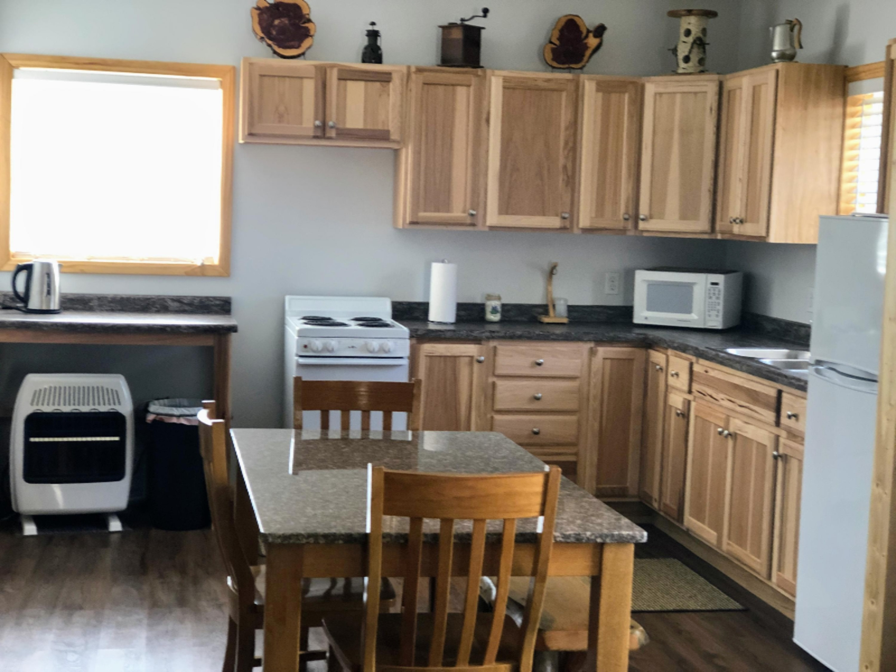 9570 150th Avenue Reed City, MI 49677 - Photo 9 of 30 Kitchen