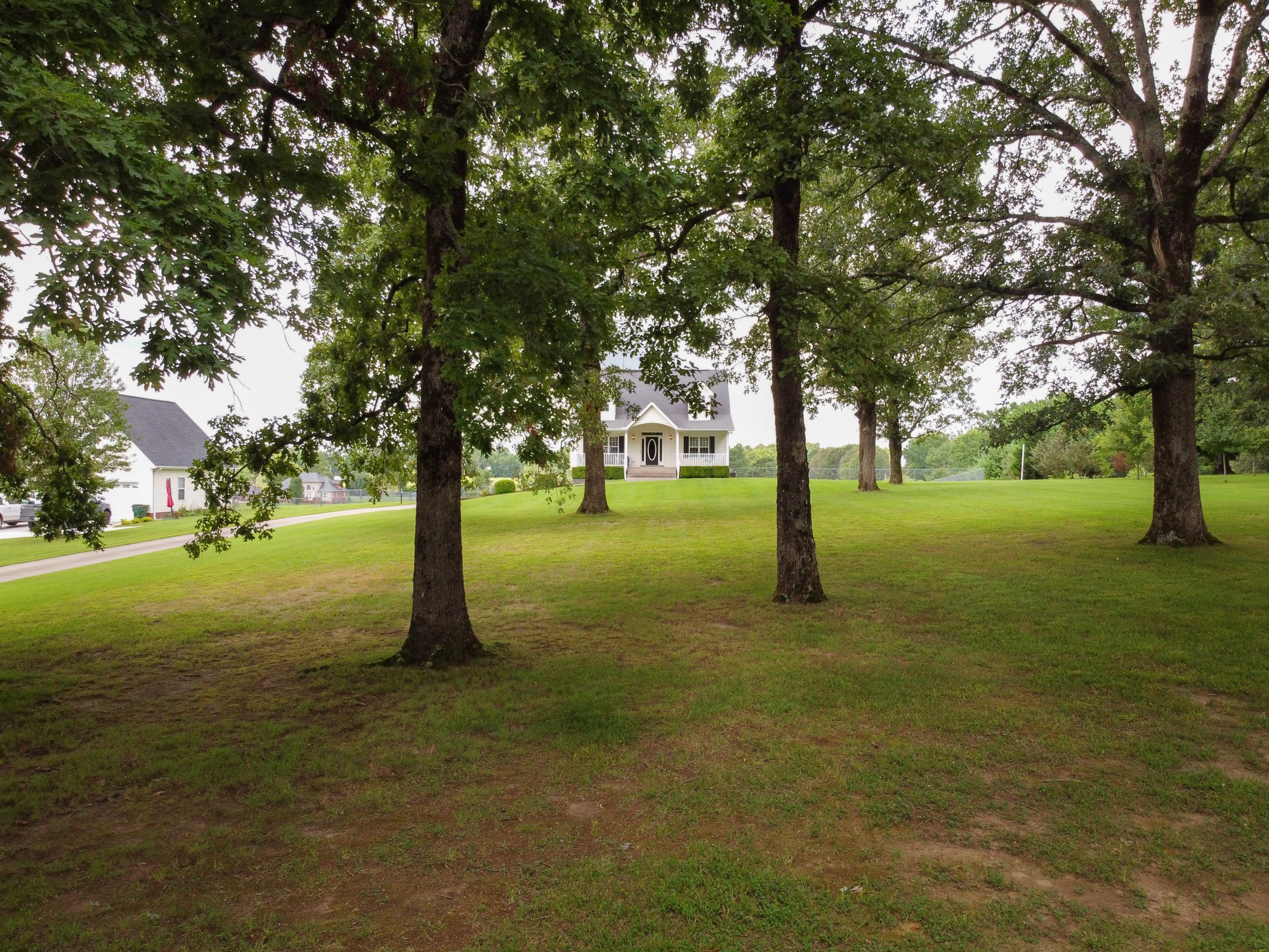 1678 Porter Road Bon Aqua, TN 37025 - Photo 17 of 36 a view of a trees with a yard