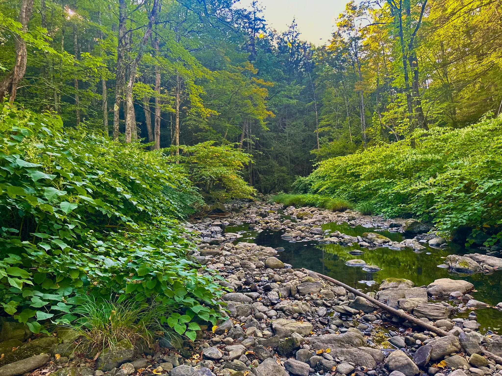 1041 Stage Road Plainfield, NH 03781 - Photo 19 of 21