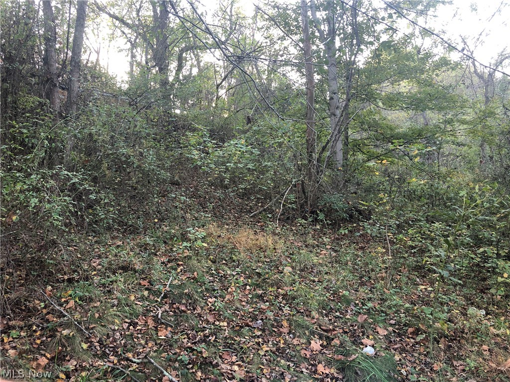 236 Pleasant Ridge Road Sistersville, WV 26175 - Photo 2 of 2