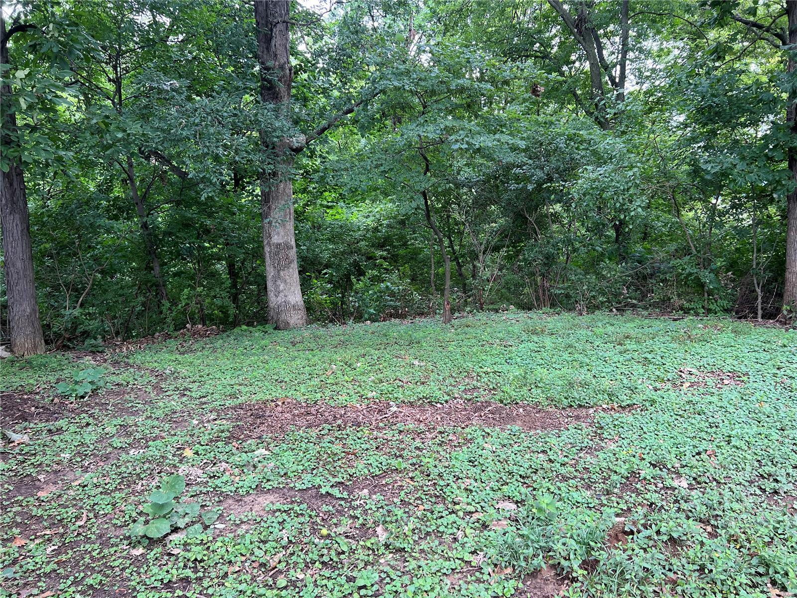 8821 Godfrey Road Godfrey, IL 62035 - Photo 24 of 25