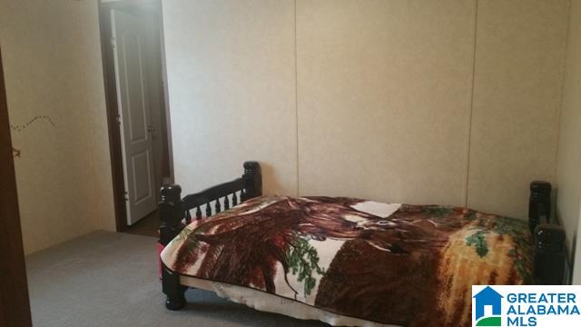 1015 Hamilton Road Pell City, AL 35128 - Photo 18 of 37