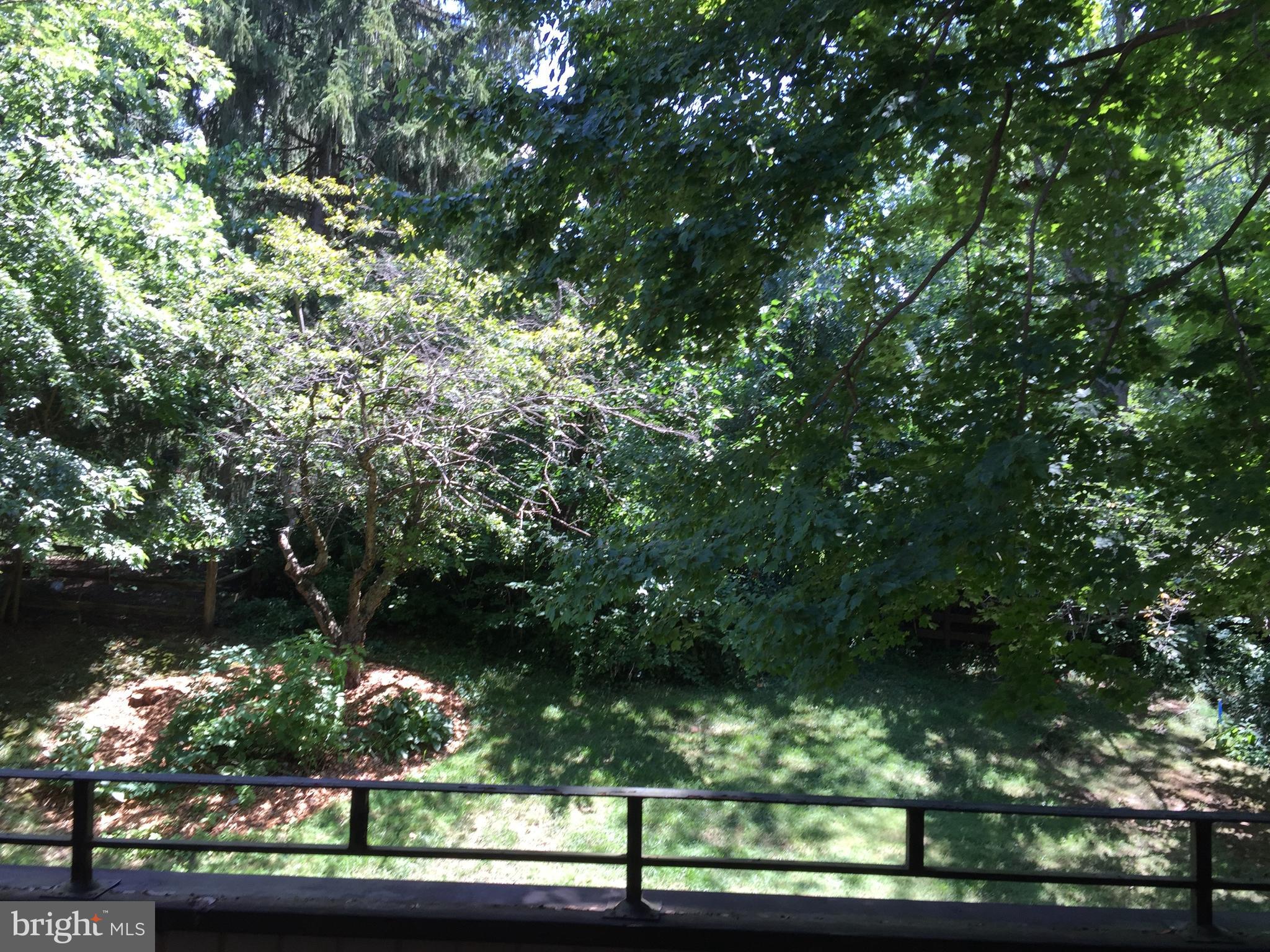 11042 Saffold Way Reston, VA 20190 - Photo 19 of 50 Balcony View - Summer