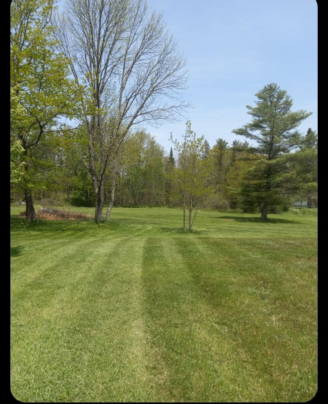 20 Rowdy Lane Burnham, ME 04922 - Photo 35 of 39 1000017830