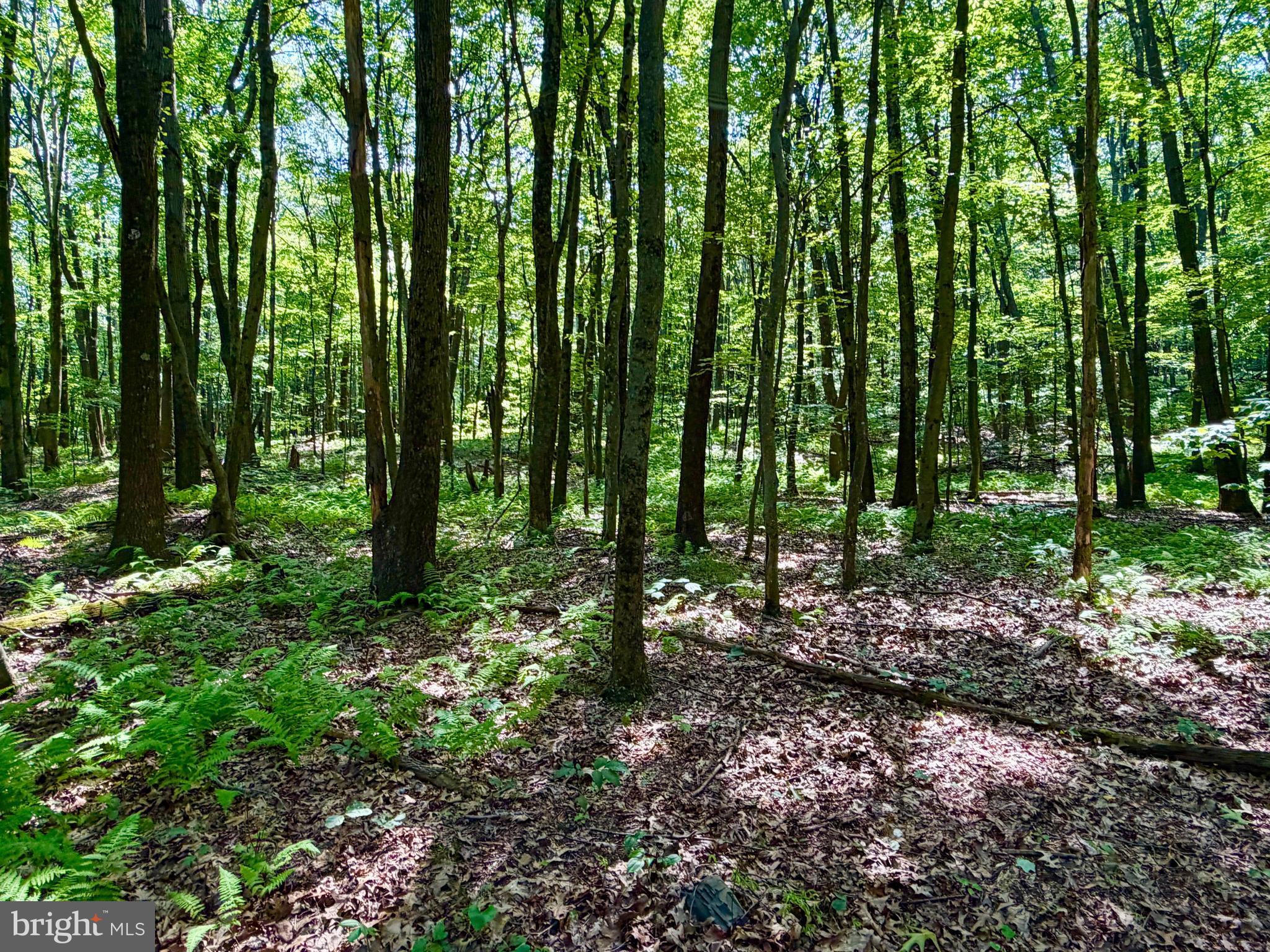 3243 Church View Road New Enterprise, PA 16664 - Photo 31 of 39 Gallery Image 31