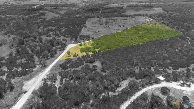 a view of a yard with plants