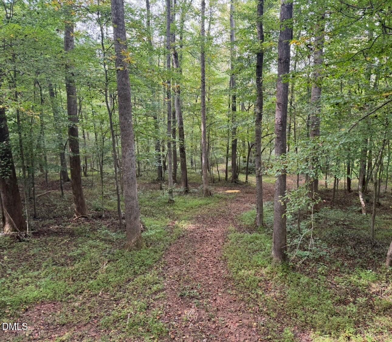 5400 Valley Wood Road Hillsborough, NC 27278 - Photo 74 of 86 IMG_9734