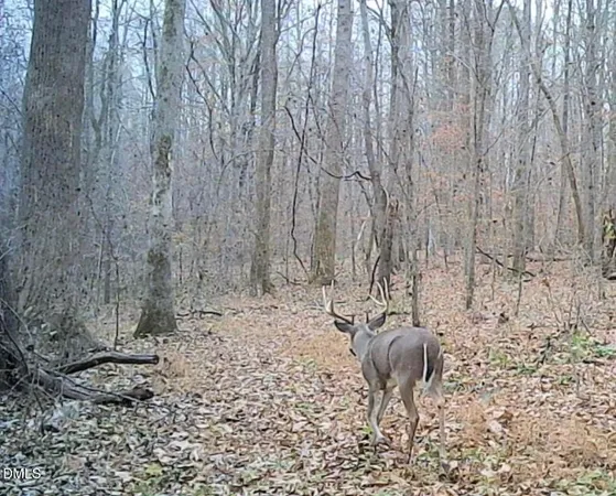 $1,549,000 | 5400 Valley Wood Road, Hillsborough, NC 27278