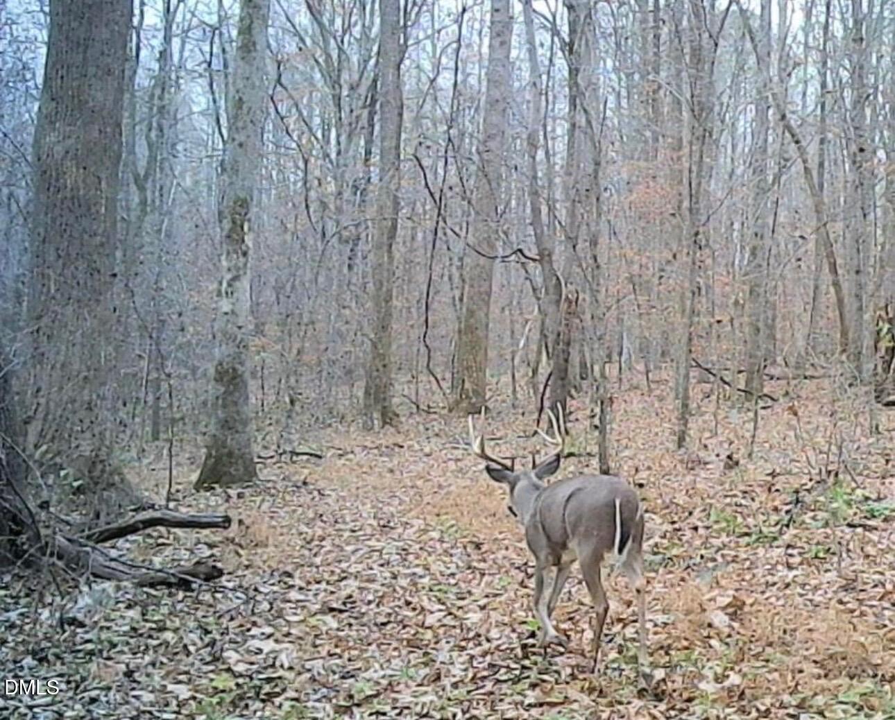 5400 Valley Wood Road Hillsborough, NC 27278 - Photo 81 of 86 IMG_9739