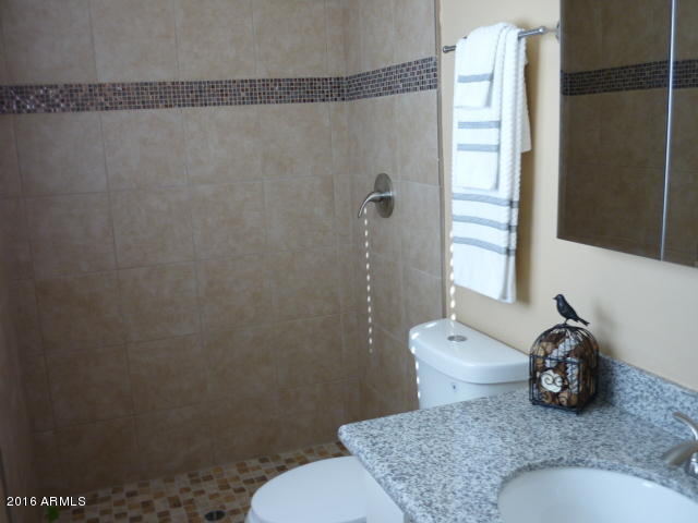 5841 East Decatur Street Mesa, AZ 85205 - Photo 9 of 12 P1040554