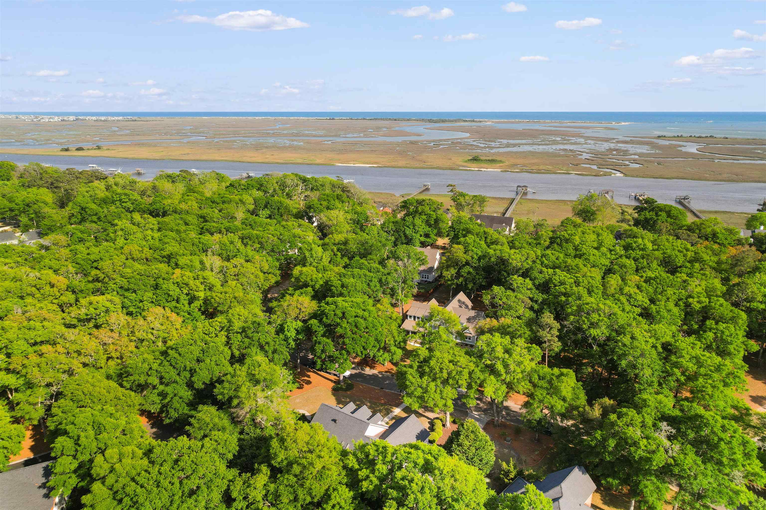 1308 Harbour Watch Southwest Calabash, NC 28467 - Photo 53 of 67