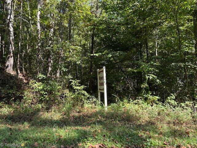 1 Arlie Myers Store Road McGrady, NC 28649 - Photo 7 of 8