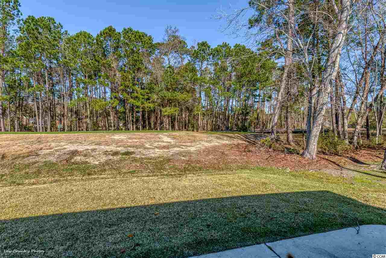4446 Maypop Trail Murrells Inlet, SC 29576 - Photo 29 of 32 Gallery Image 29