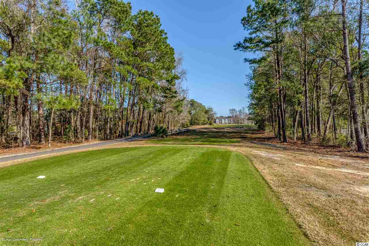4446 Maypop Trail Murrells Inlet, SC 29576 - Photo 30 of 32 Gallery Image 30