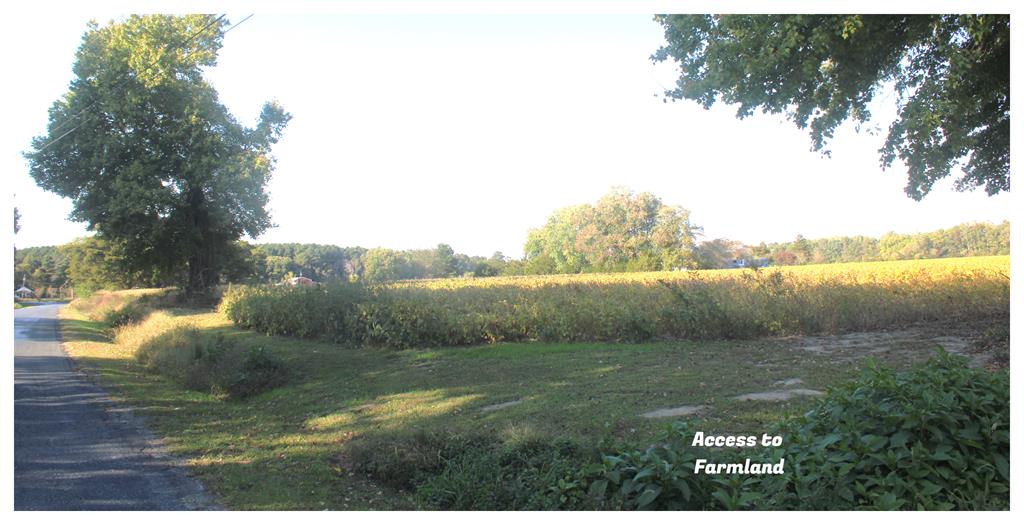Lot 130 Matthews Road, Unit 130 Parksley, VA 23421 - Photo 13 of 15