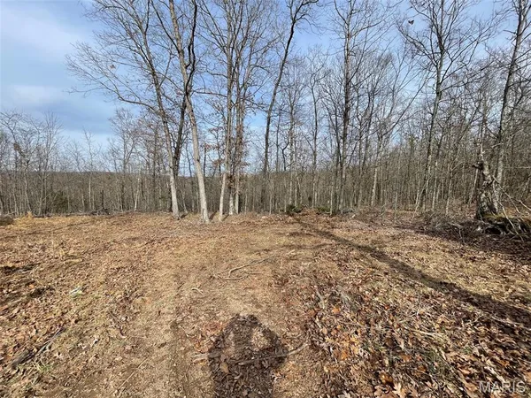 $99,900 | 0 Hwy Hh & N Marquand Mo 63655, Fredericktown, MO 63645